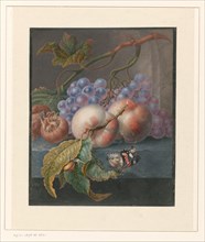 Fruit with a butterfly and a snail, 1677-1726. Creator: Herman Henstenburgh.
