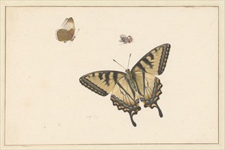 Three Butterflies, c.1683-c.1726. Creator: Herman Henstenburgh.
