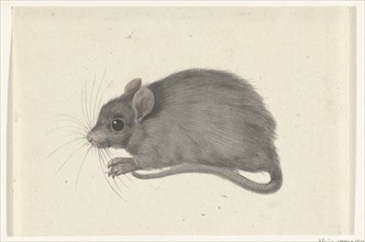 Mouse, to the left, 1775-1833. Creator: Jean Bernard.