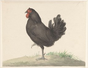Standing black chicken, 1775-1833. Creator: Jean Bernard.
