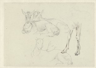 Studies of Goats, c.1809-c.1812. Creator: Josephus Augustus Knip.