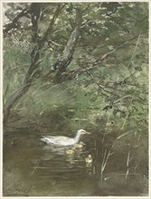 Ducks in the water, 1854-1892. Creator: Willem Maris.