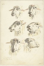 Six studies of sheep heads, 1800.  Creator: Franciscus Andreas Milatz.