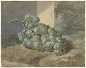 Bunch of grapes, 1754. Creator: Gerard Sanders.
