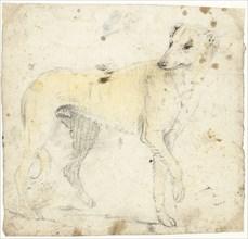 Study of a running dog, c.1626-before 1662. Creator: Gerard ter Borch I.