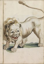 Lion, 1696. Creator: Hendrick van Beaumont.