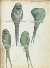 Lovebirds, 1785-1786. Creator: Jan Brandes.