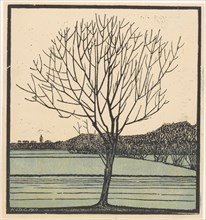 Bare tree, 1919. Creator: Julie de Graag.