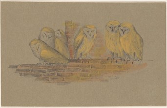 Greeting card with six owls, 1890. Creator: Theo van Hoytema.