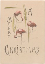 Christmas card with three flamingos, c.1878-c.1917. Creator: Theo van Hoytema.