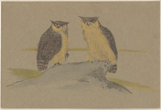 Greeting card with two owls, 1890. Creator: Theo van Hoytema.