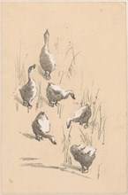 Greeting card with six geese, 1878-1917. Creator: Theo van Hoytema.