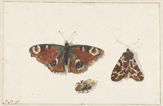 Butterfly, Moth and Bumblebee, c.1700. Creator: Johannes Bronkhorst.