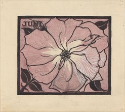 Flower, 1887-1924. Creator: Julie de Graag.