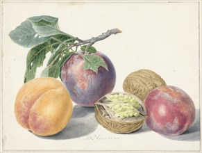 Still life with fruits, 1714-1760. Creator: Michiel van Huysum.