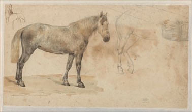 Studies of a horse, 1845-1926. Creator: Willem Carel Nakken.