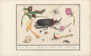 Natural History Ensemble (No. 18), 1596-1610. Creators: Elias Verhulst, Anselmus de Boodt.