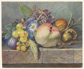 Fruit and floral still life, 1824-1900. Creator: Albertus Steenbergen.