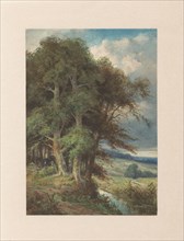 High trees along which a stream runs, 1838-1879. Creator: Augustin Taurel.