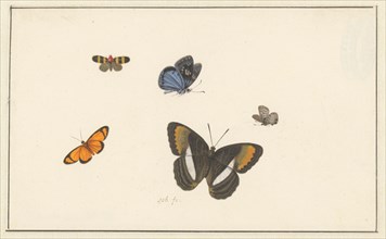 Five butterflies, c. 1677-c. 1726. Creator: Herman Henstenburgh.