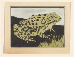 Frog, 1887-1924. Creator: Julie de Graag.