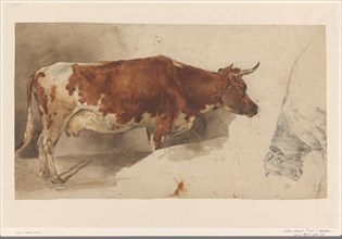 Standing cow, to the right, and sketch of a cow, 1845-1926. Creator: Willem Carel Nakken.