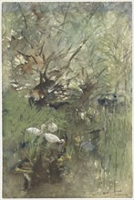 Ducks under willows, 1844-1910. Creator: Willem Maris.