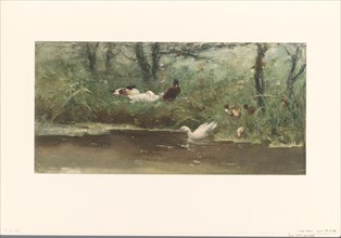 Ducks on canal bank, 1844-1910. Creator: Willem Maris.