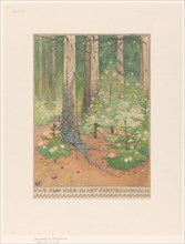 Forest with decorated and illuminated Christmas trees, 1898. Creator: Willem Wenckebach.