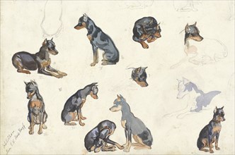 Studies of a dog, 1880-1946. Creator: Anna Maria Kruijff.