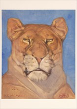 Head of a lioness, 1866-1939. Creator: Bernard Willem Wierink.