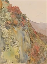 Hill covered with flowers and plants, 1865-1913. Creator: Abrahamina Arnolda Louisa Hubrecht.