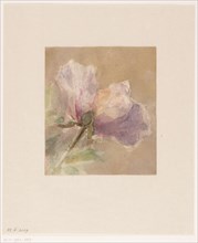 Withered rose, 1851-1924. Creator: Carel Nicolaas Storm.
