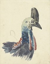 Head of the cassowary, 1700-1800. Creator: Christiaan van Geelen.