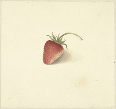 Strawberry, 1818-1853. Creator: Elisabeth Geertruida van de Kasteele.