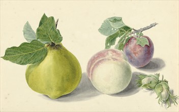 A pear, peach, plum and nuts, 1818-1853. Creator: Elisabeth Geertruida van de Kasteele.