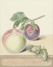Peach, a plum with leaves and a few nuts, 1818-1853. Creator: Elisabeth Geertruida van de Kasteele.