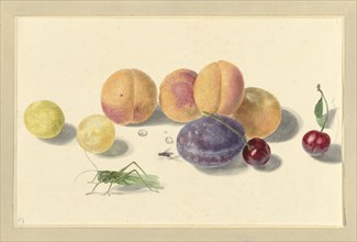 Peaches, plums, cherries and two bugs, 1818-1853. Creator: Elisabeth Geertruida van de Kasteele.
