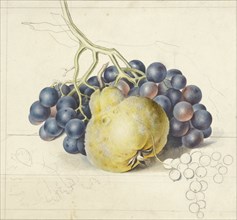 Still life with grapes and a pear, 1792-1861. Creator: Georgius Jacobus Johannes van Os.