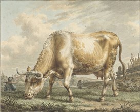 Grazing Cow, 1783. Creator: Jacob Cats.