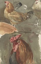 Rooster with chickens, 1874-1925. Creator: Jan Veth.