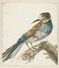 Bee-eater (Merops apiaster), 1650-1719. Creator: Jan Weenix.