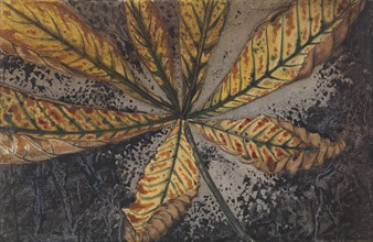 Chestnut leaf, 1887-1924. Creator: Julie de Graag.