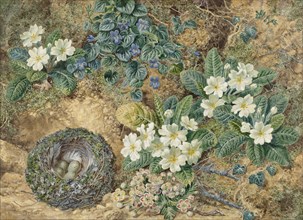 Still life of a bird's nest, violets, primroses and apple blossoms, 1872. Creator: Thomas Frederick Collier.
