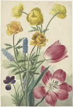 Bouquet of tulips, pansies, grape hyacinths and dotters, 1763-1825. Creator: Willem van Leen.