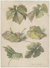 Studies of vine leaves, 1796. Creator: Willem van Leen.