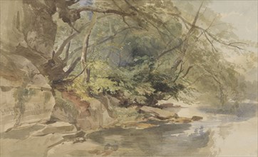 View in Stapleton Wood, near Bristol, 1843. Creator: William James Muller.