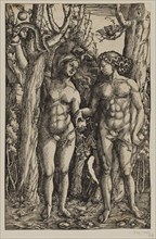 Adam and Eve. Creator: Albrecht Durer.