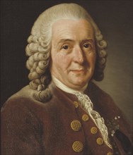 Carl von Linné, 1707-1778, botanist, professor, 1775. Creator: Alexander Roslin.
