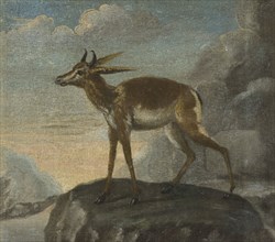 Bengal deer, late 17th-early 18th century. Creator: David Kock.